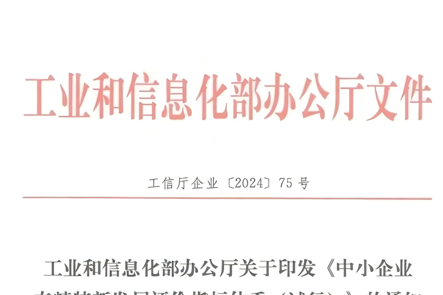 發(fā)揮行業(yè)優(yōu)勢(shì)，助力專(zhuān)精特新“小巨人”企業(yè)騰飛