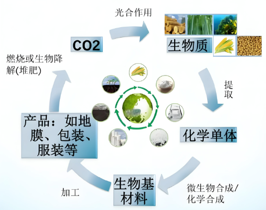生物基復合材料全生命周期設計、性能調控及高端應用最新進展