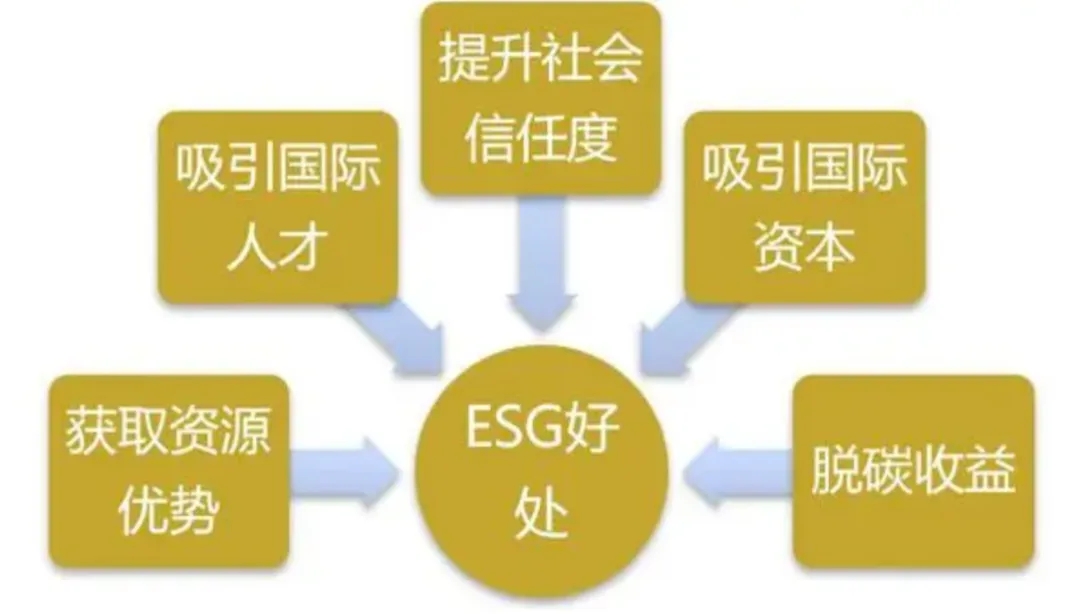 《ESG 信用報(bào)告:洞察企業(yè)可持續(xù)發(fā)展的新視角》 《ESG 信用報(bào)告:洞察企業(yè)可持續(xù)發(fā)展的新視角》